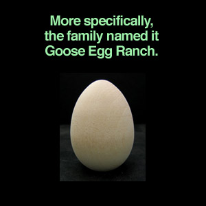 goose-egg-ranch
