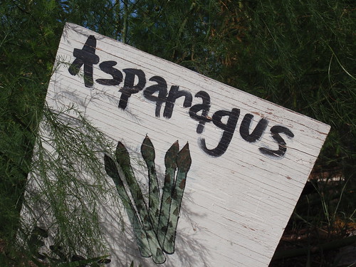 Asparagus Sign