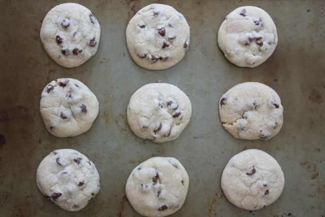 Baked chocolate chip cookies