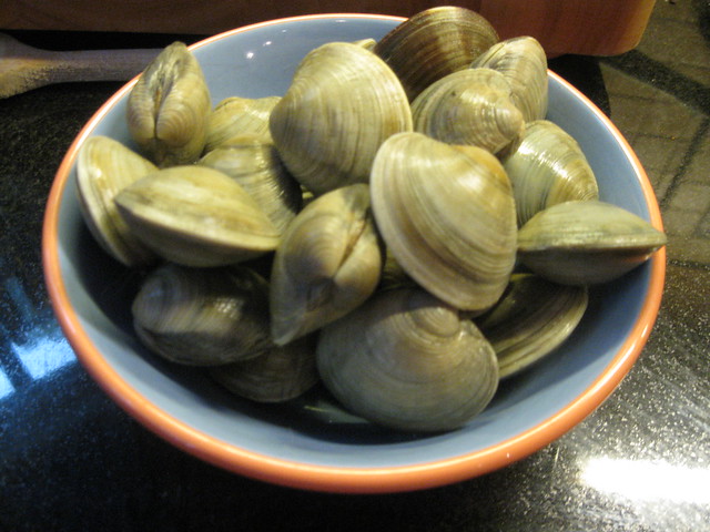 clams