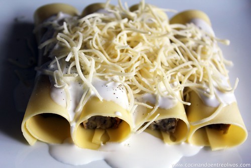 Pastel de hongos en canelón de queso gratinado (15)