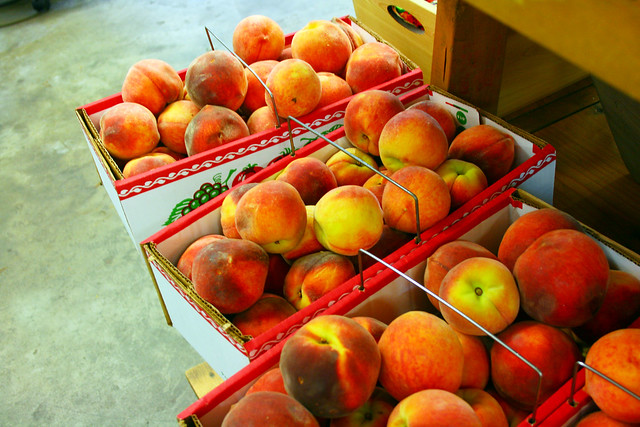 Peaches at Mercier Orchards {Blue Ridge, Georgia}