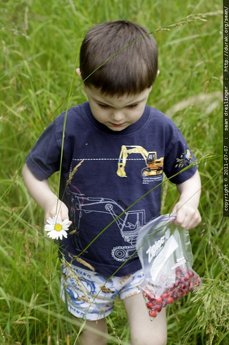 he found a daisy for rachel - MG 5150.JPG