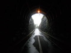 Bike Commute 64: Summer Rain at the Wilkes Street Tunnel by Rootchopper