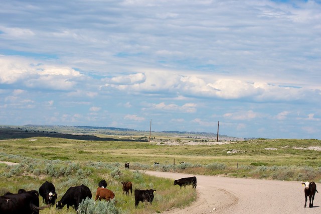 2011-07-03_Wyoming 021