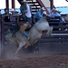 PBR in Weatherford 7-15