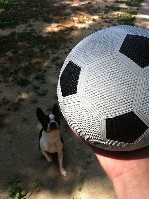 New soccer ball for Egon!