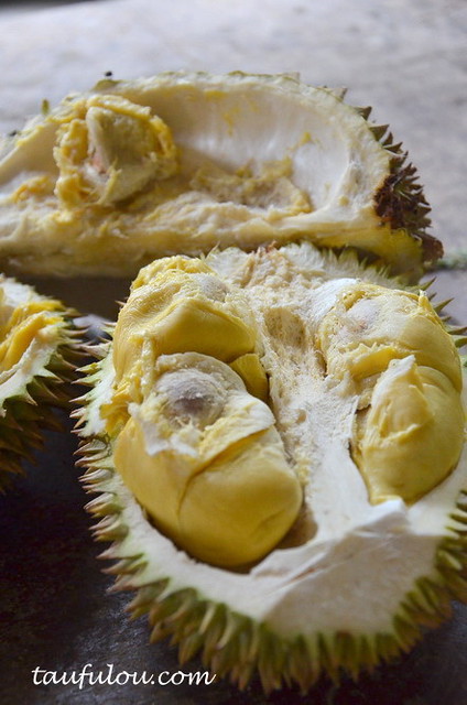 balik pulau durian (7)