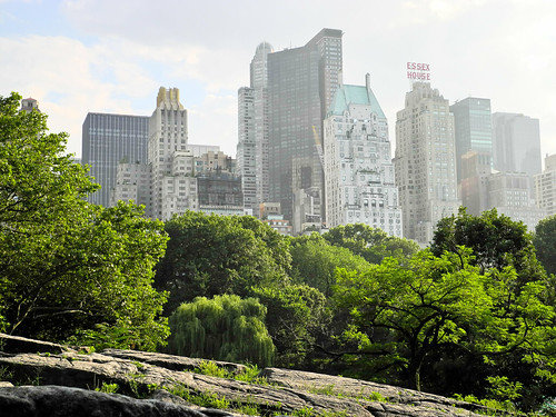 Central Park 2011