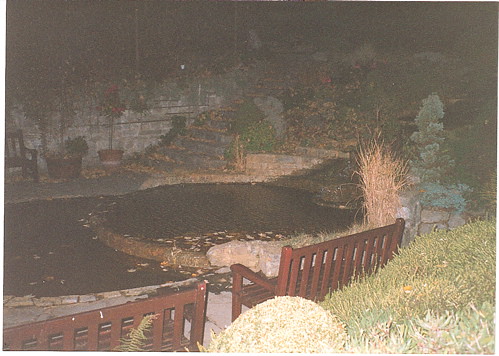 Glastonbury Nov 2003