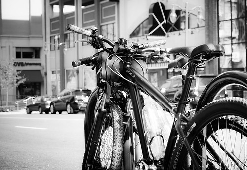 Bikes in Washington B/W