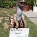 Velociraptor Welcome Message