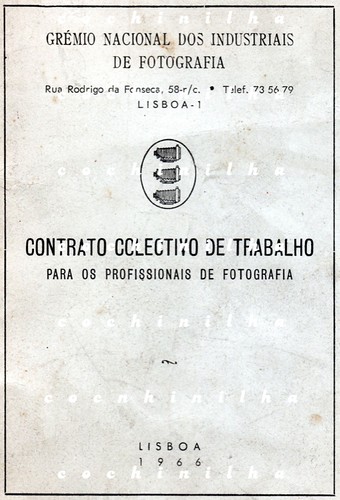 contrato de trabalho by cochinilha