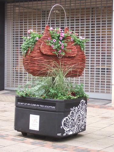"Nottingham in bloom 2011"