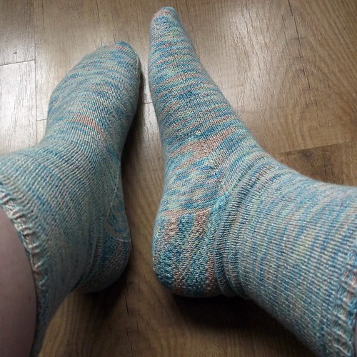 socks 009