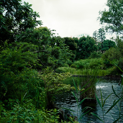 Mukojima Hyakkaen Garden, Marsh Side