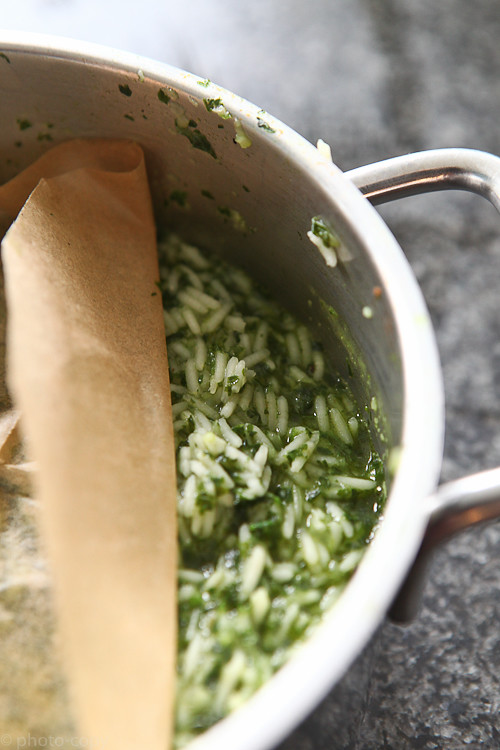 green rice tutorial