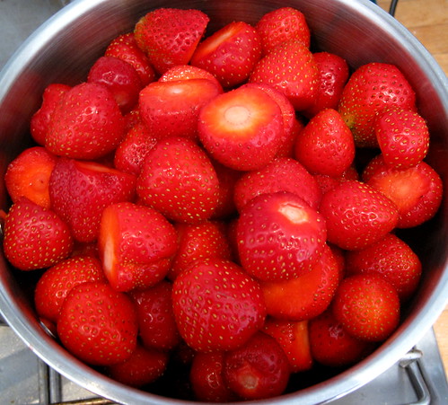 Paisley Stawberries 12