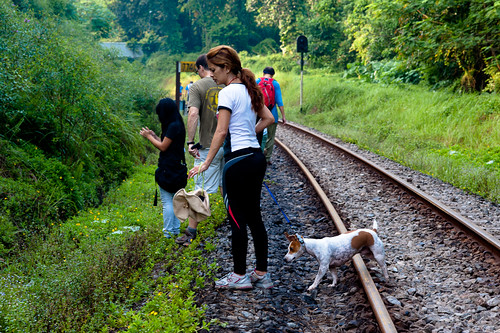 As a dog owner and lover, I just have to photograph our canine friends. This one walked the tracks as well!