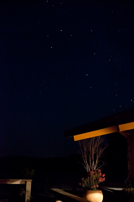 Night Sky At The Lodge