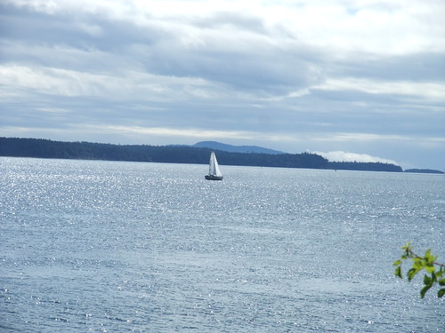 sailboat, Sidney