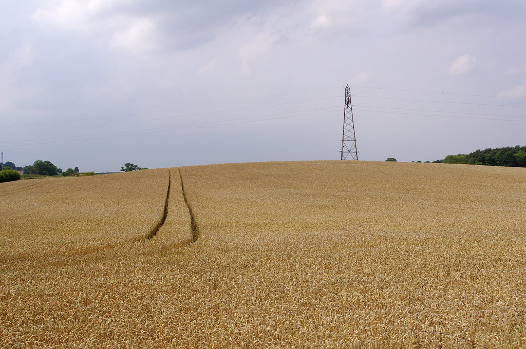 Wheat Field Approaching Storm 4