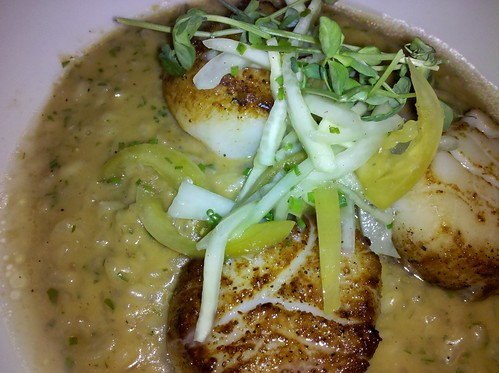 Scallops with muddled cucumber and "low country risotto"