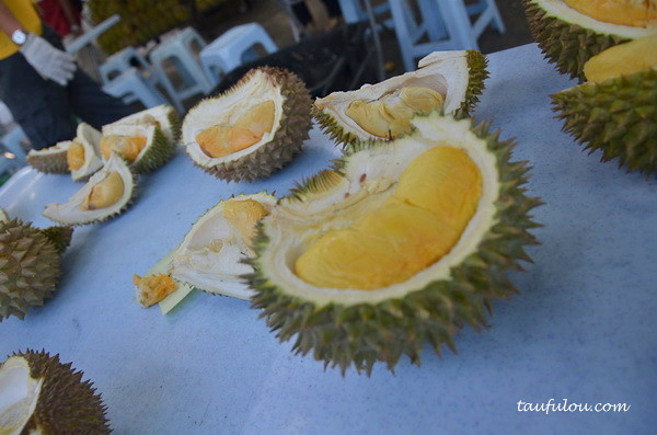durian part 2 (12)