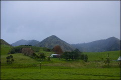 Landscape along State Highway 12