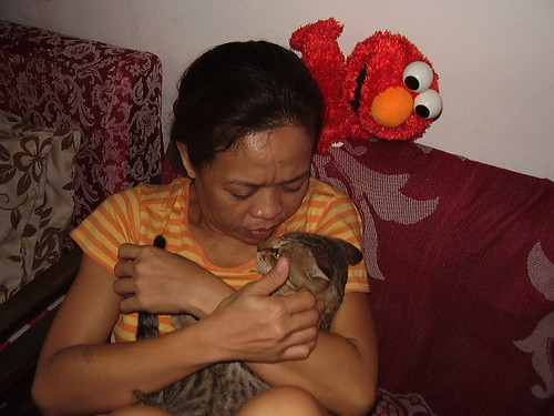 Elmo is jealous by Che Baldemor