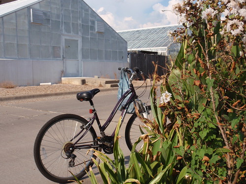 Bike Outside of Garden