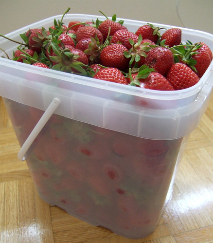 strawberries_02
