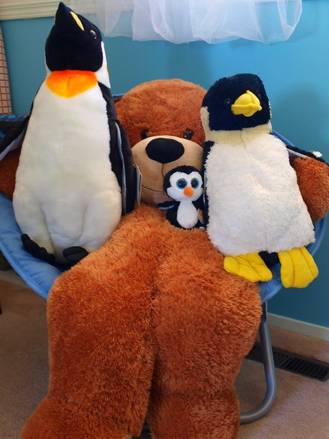 41*365 Grateful-Penguins and Bear! 