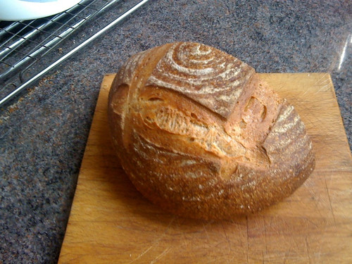 Wholewheat and Rye Sourdoughttp://www.blogger.com/img/blank.gifh by flimbag