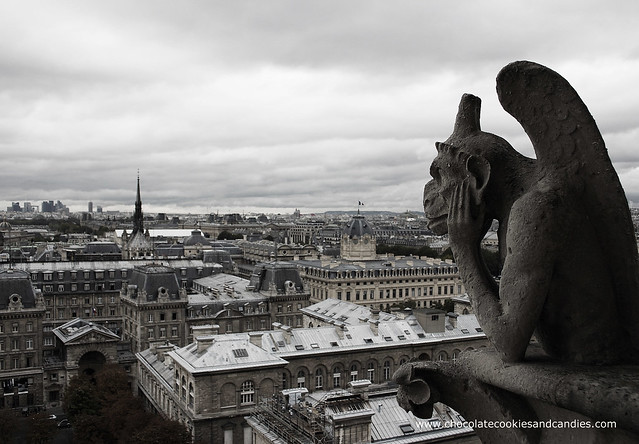 Gargoyle Notre Dame