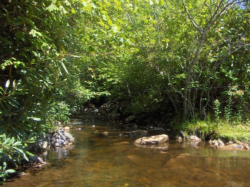 Creek at Grayson Highlands State Park