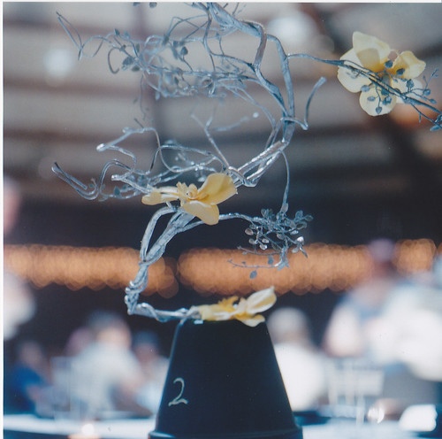 My Cousins 39 Homemade Centerpieces by Emmeline Prufrock