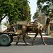 Carros de camelo