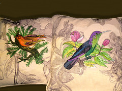 Bird Pillows