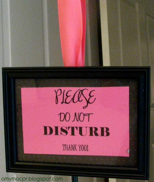 Please Do Not Disturb Sign Amy Mac