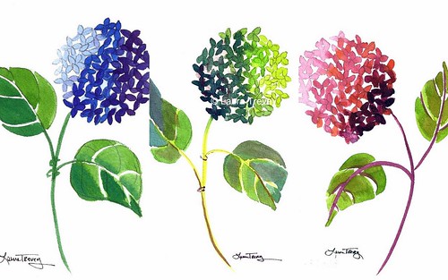 Hydrangea Watercolor Prints