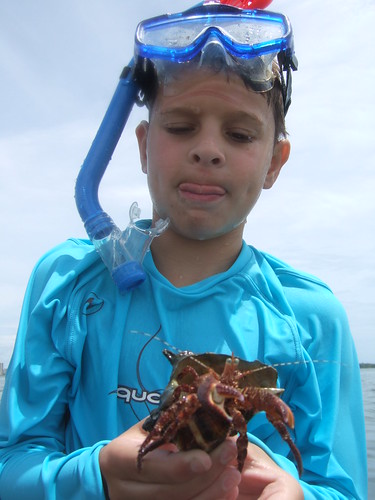 Dylan with hermit crab
