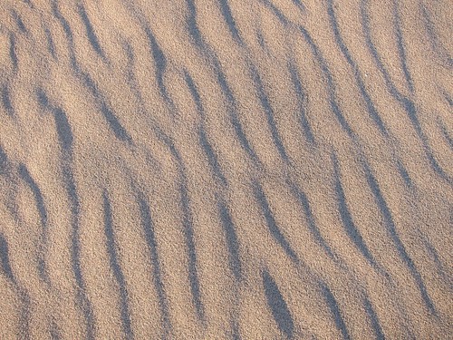 rippled sand