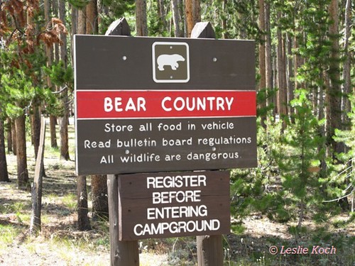 Yellowstone National Park - Bear Country Sign