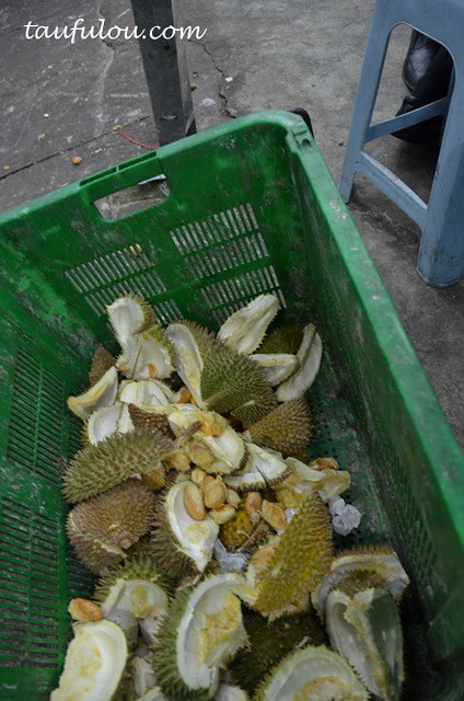 durian part 2 (23)