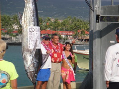 Hawaiian International Billfish Tournaments