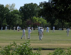 Cricket in the Park