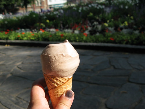 Ice cream in Bear Park