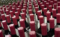 Proveedores vitivinícolas obtendrían US$435 millones adicionales con Plan 2020 de Vinos de Chile