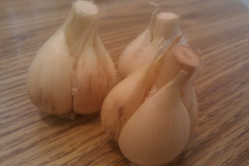 Vincent Cirasole's Organic Garlic from the Copiague Farmer's Market